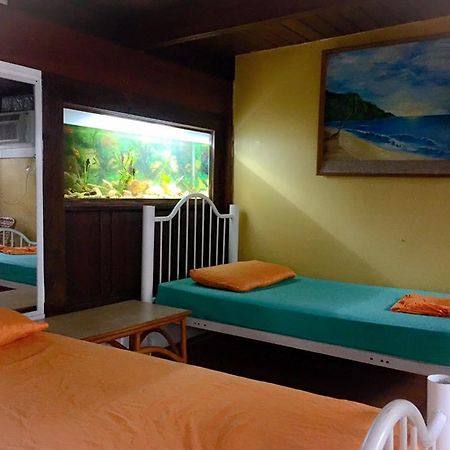 Dancing Tortugas Aguadilla Ngoại thất bức ảnh